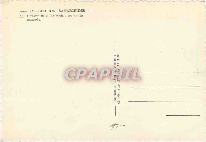 CPM Collection Saharienne Devant la Haimoh ou tente nomade Chameaux — Rückseite