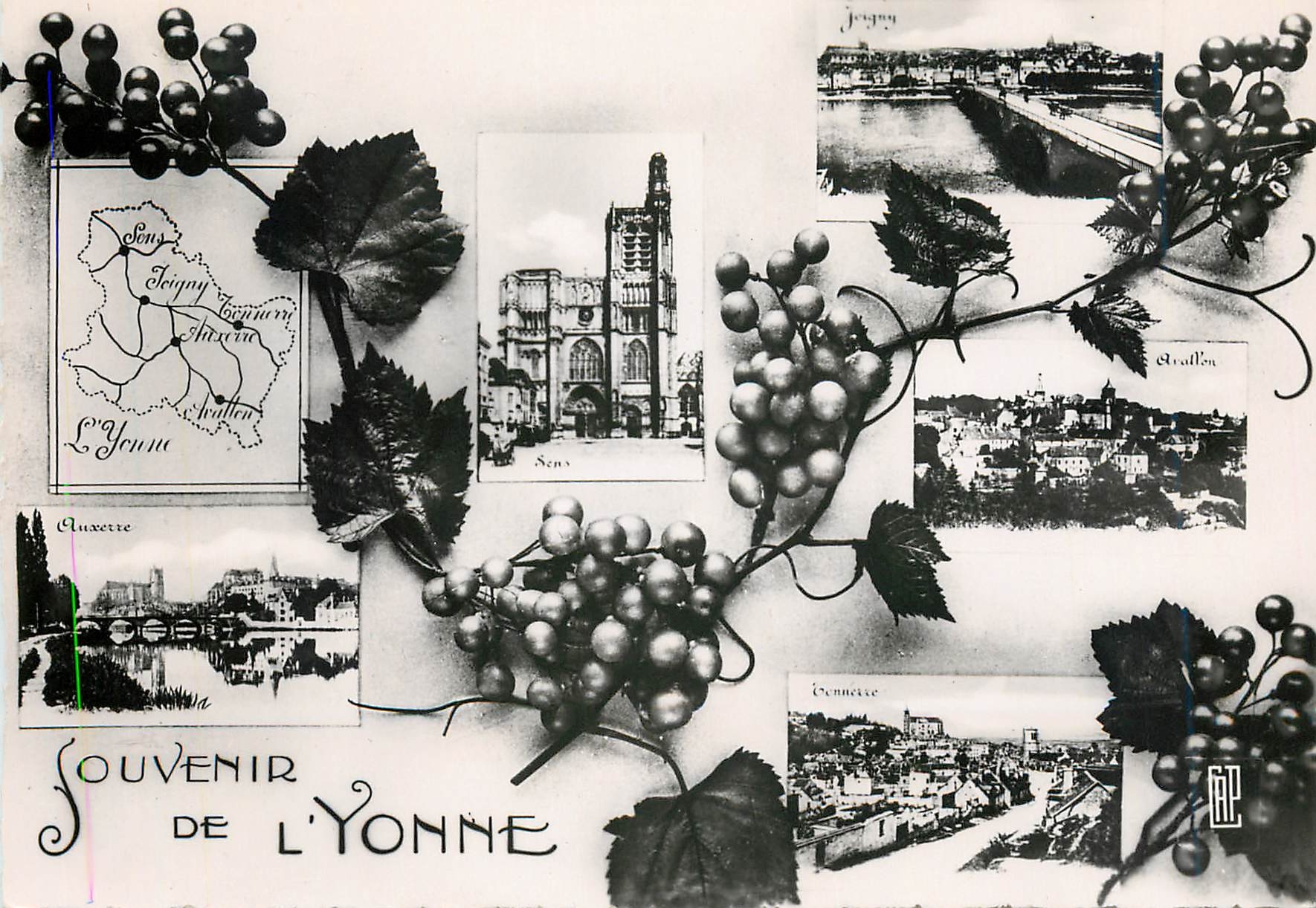 CPM Souvenir de l'Yonne Auxerre Joigny Avallon Tonnerre