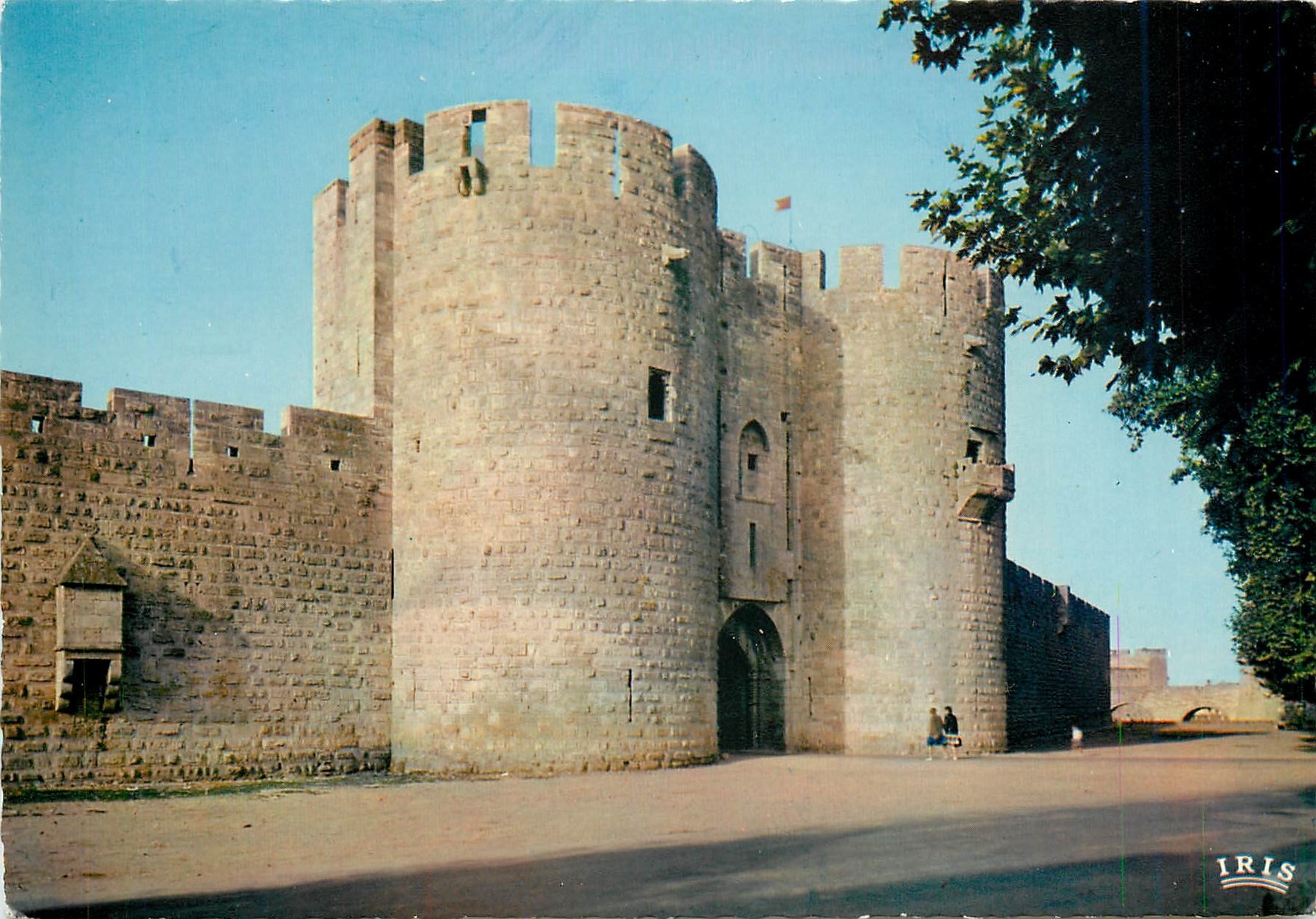CPM Aigues Mortes Gard La Ville de St Louis 