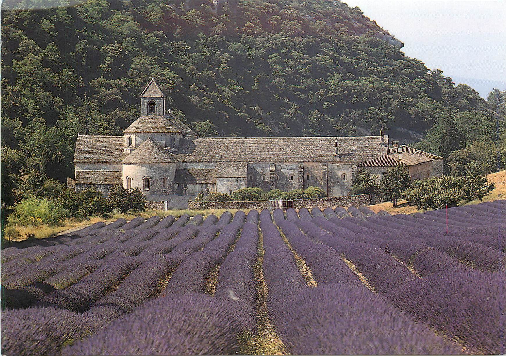 CPM Abbaye de Senanque Gordes Vaucluse Vue generale et champs de lavande Facade Nord 