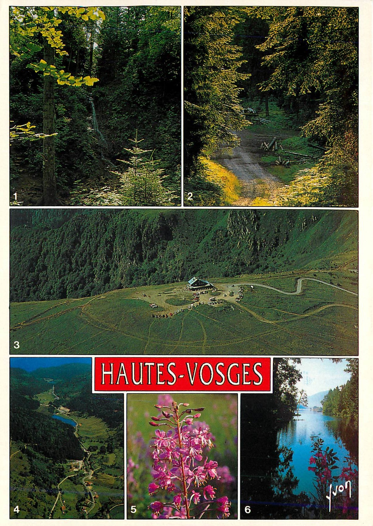 CPM Hautes Vosges Le saut de la Bourrique Chemin forestier Vue panoramique sur le sommet du Hohneck 