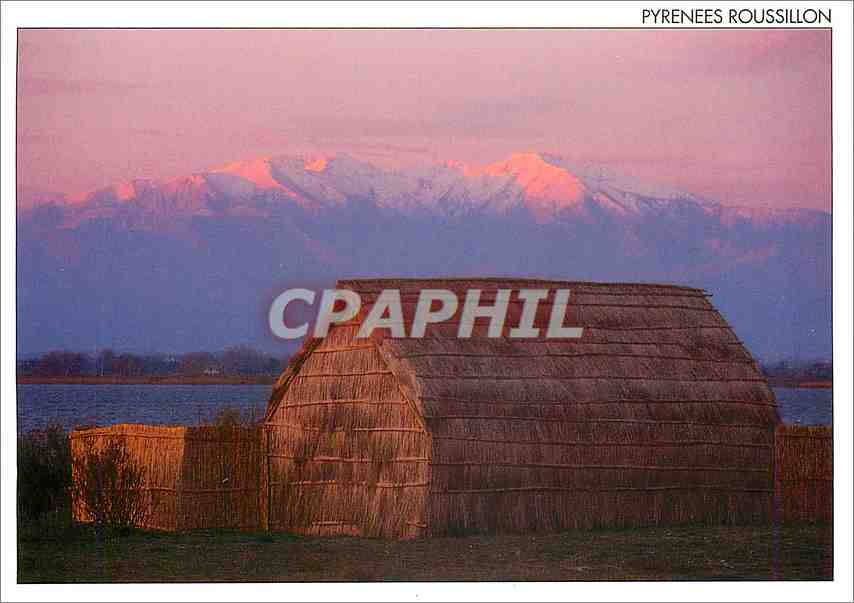 CPM Pyrenees Roussillon Typique maison de pecheur sur les rives de l'etang de Canet 