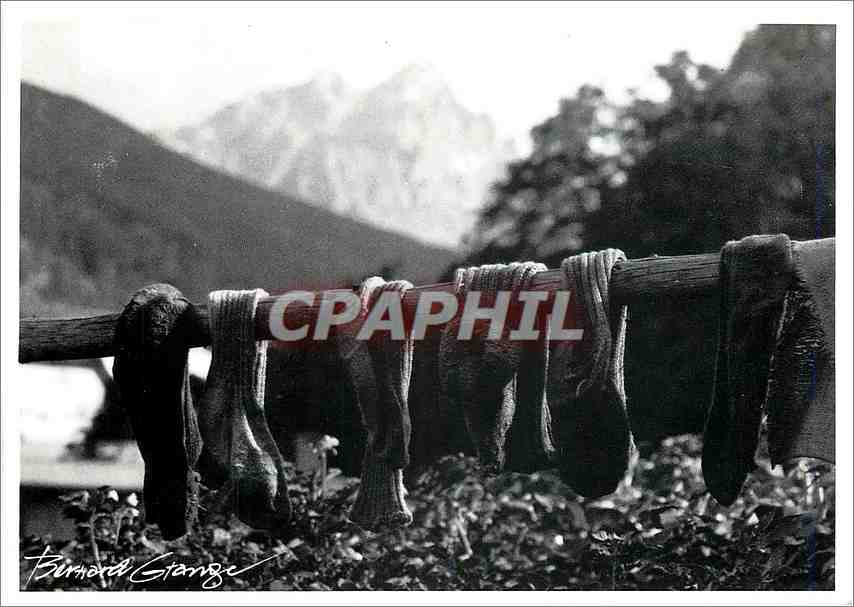 CPM Expo 2000 Bernard Grange Valloire 