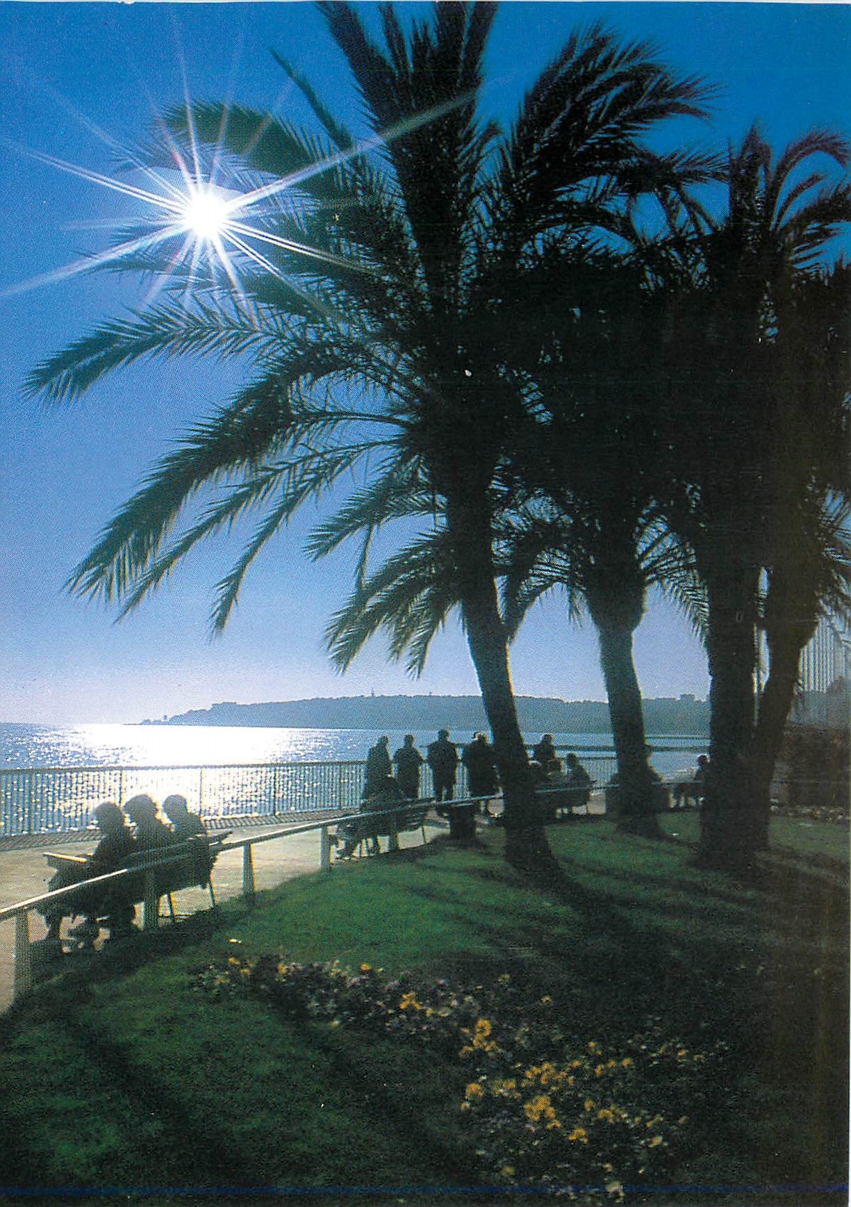 CPM Menton Alpes Maritimes Promenade sur le bord de mer 