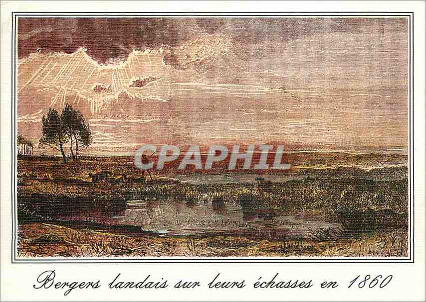 CPM Landes Bergers landais sur leurs echasses 