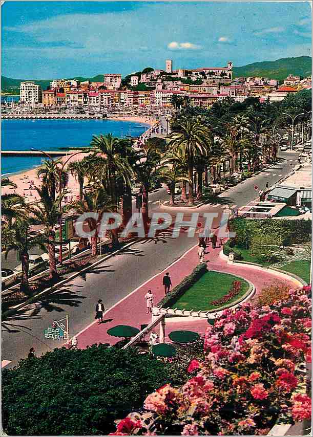 CPM Cannes Alpes Maritimes La Promenade de la Croisette 