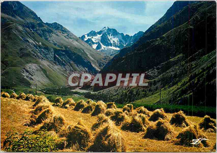 Tal der Romanche — Panoramablick mit Wiesen und schneebedecktem Gipfel — Société de Diffusion Bobillot