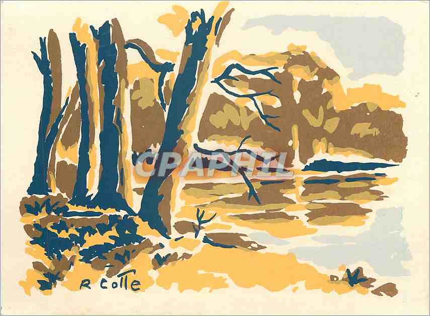 CPM Etang du Theil Parthenay Deux Sevres 