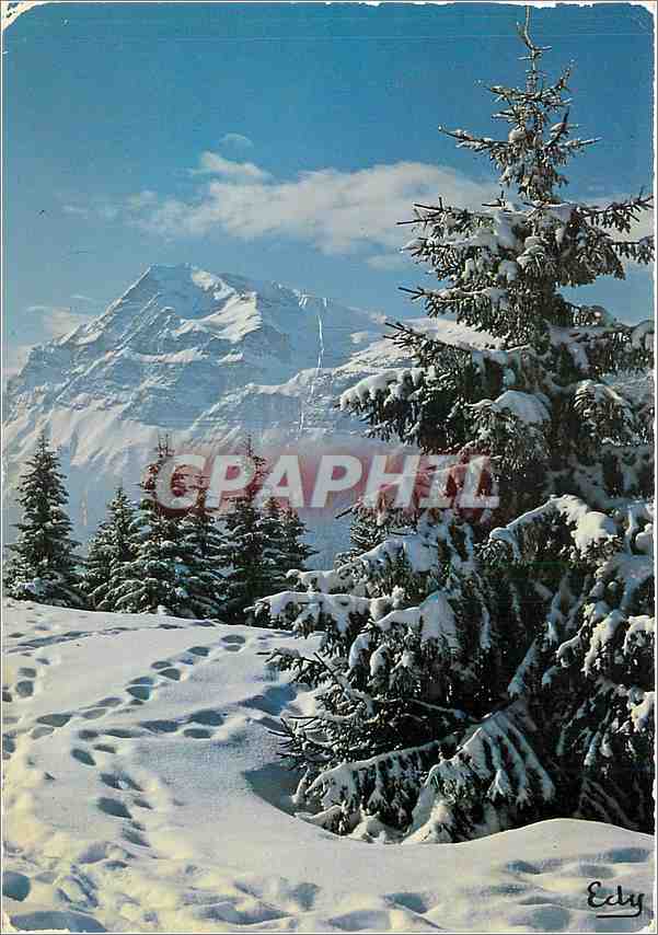 CPM Images de Chez Nous Matin d'hiver 