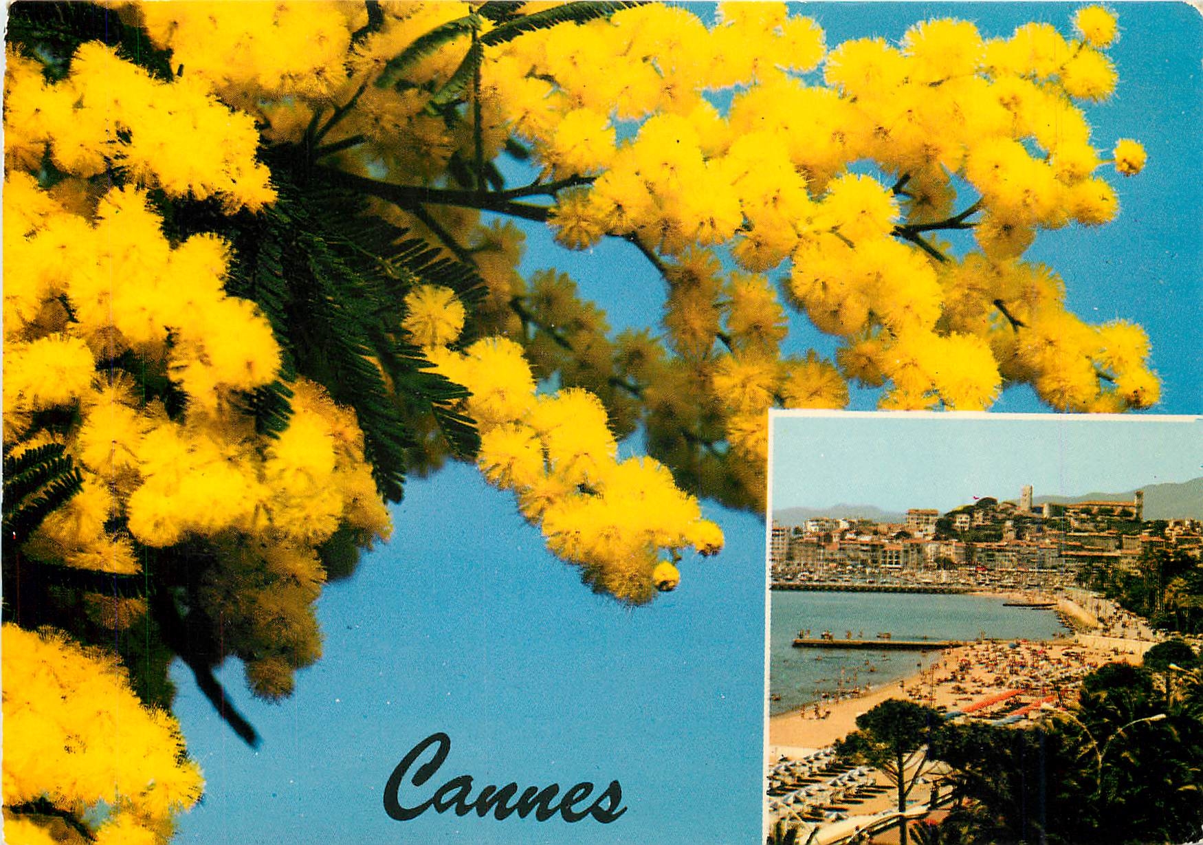 CPM Souvenir de Cannes 