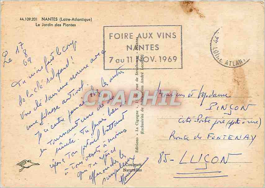 CPM Nantes Loire Atlantique Le Jardin des Plantes  — Back