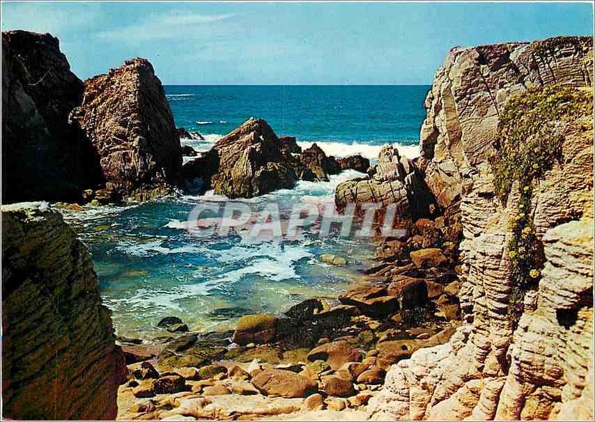 CPM La Cote Sauvage Presqu'ile de Quiberon Morbihan 
