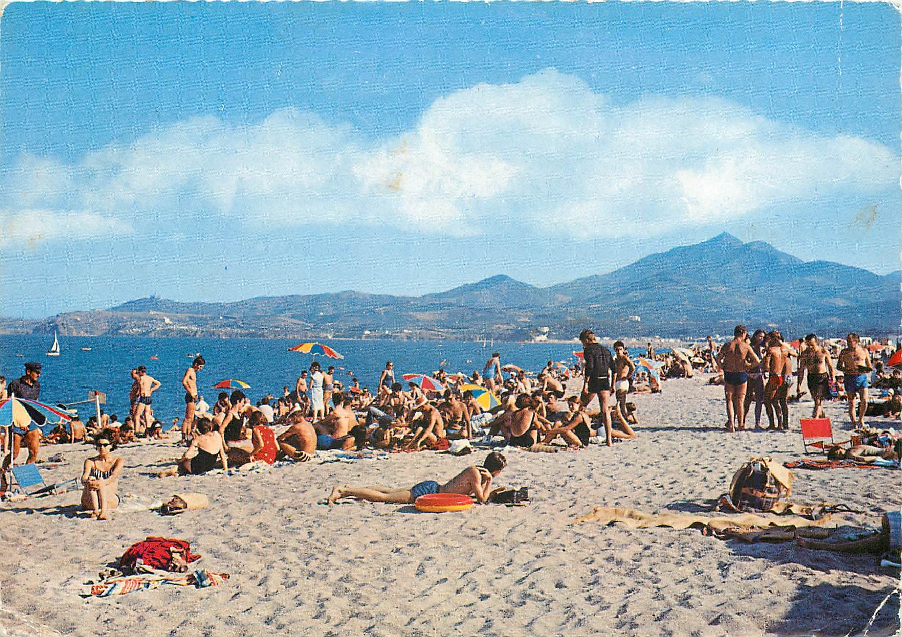 CPM Argeles sur Mer Pyr Or La Plage Les Alberes 