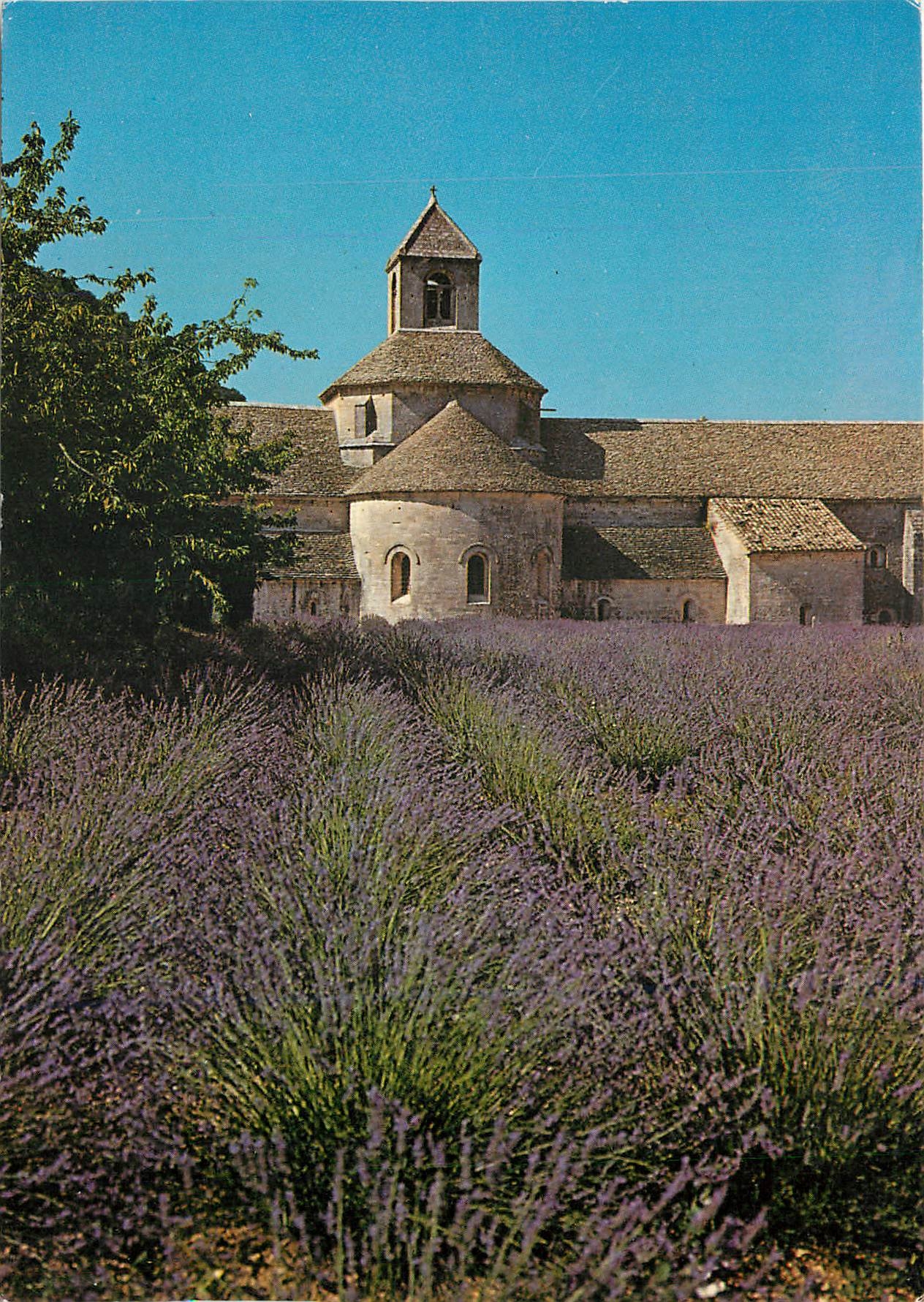 CPM Abbaye de Senanque Gordes Le chevet de l'eglise abbatiale 