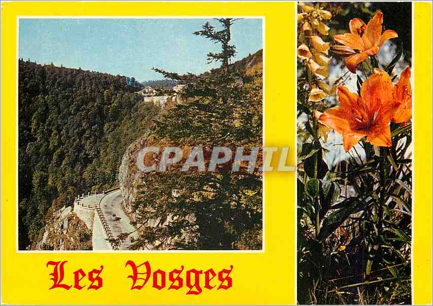 CPM Les Hautes Vosges Le col de la Schlucht et la route de Munster 