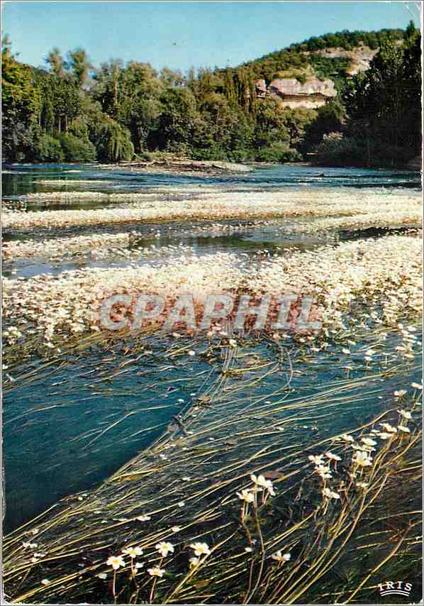 CPM Perigord Pittoresque Printemps sur la Vezere 