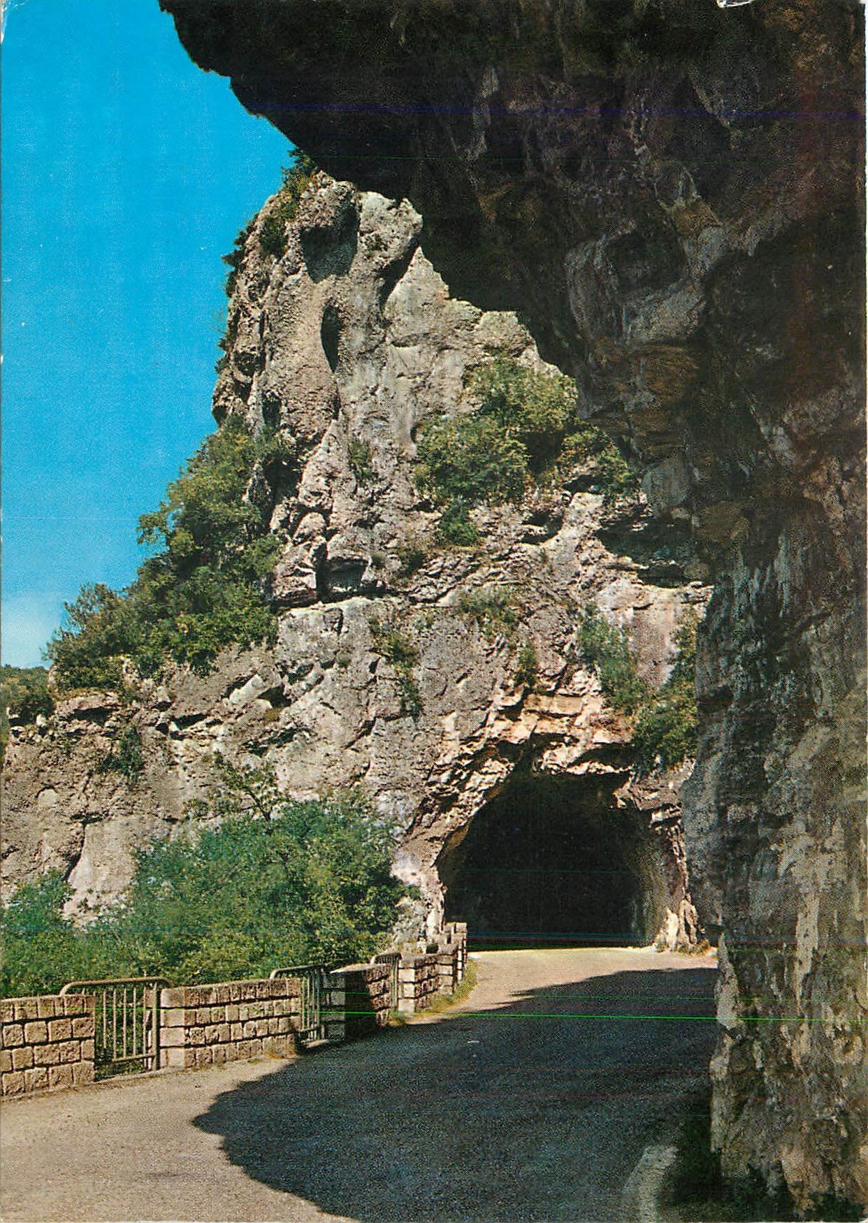 CPM Environs de St Antonin Noble Val Tarn et Gne 