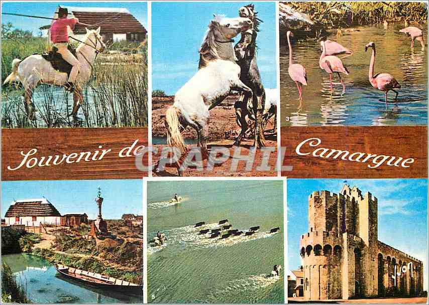 Camargue — Souvenir de Camargue — Éditions d'art S.P.A.D.E.M.