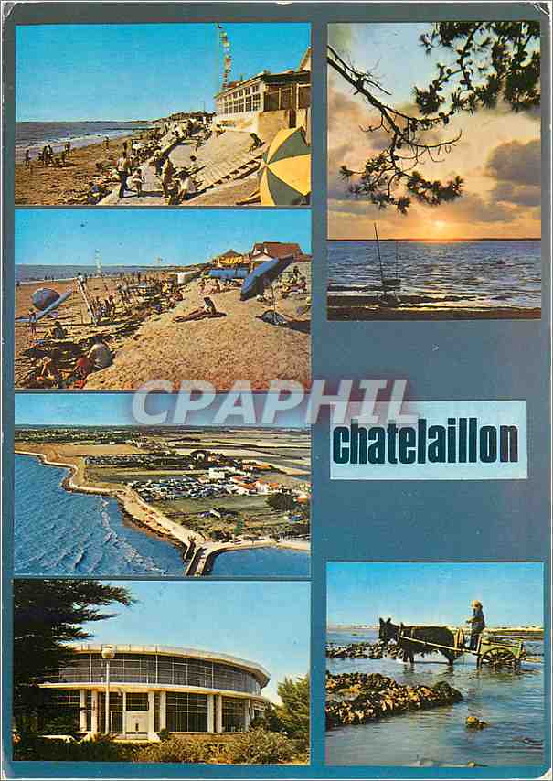 CPM Chatelaillon La Plage Les Boucholeurs et la Falaise 