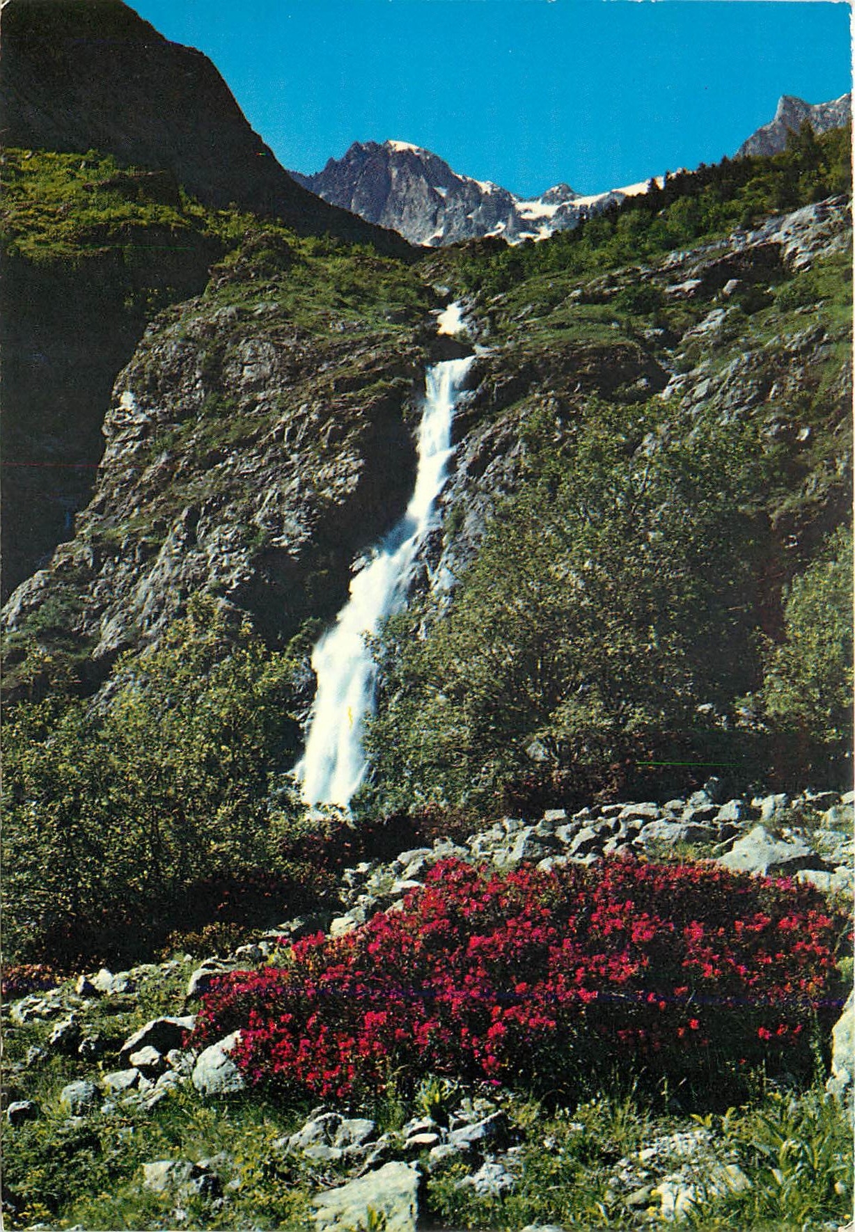 CPM Rhododendrons et cascade Aiguilles des Marmes 