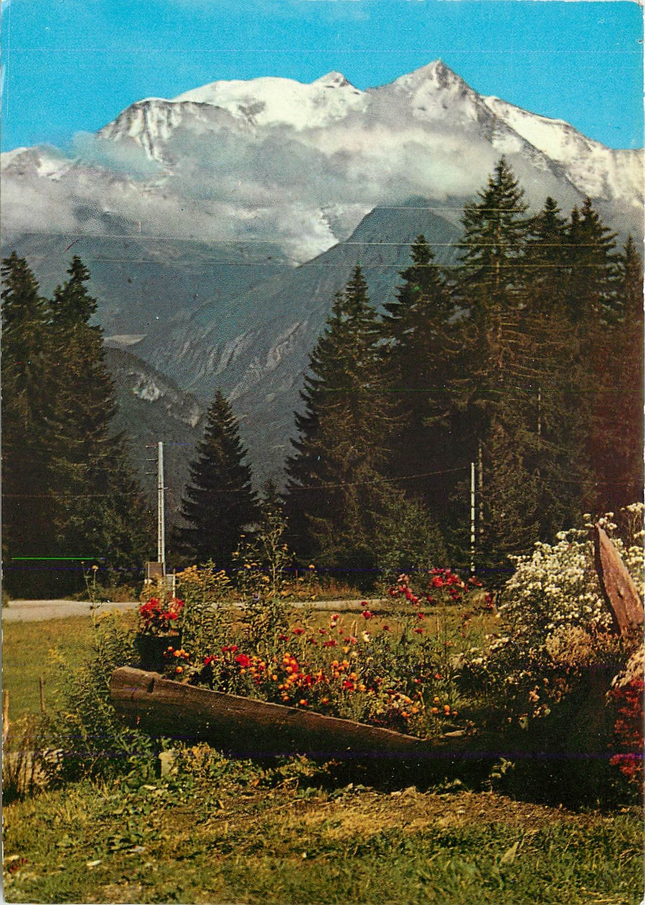 CPM Le Mont Blanc vu du Mont d'Arbois Bettex 