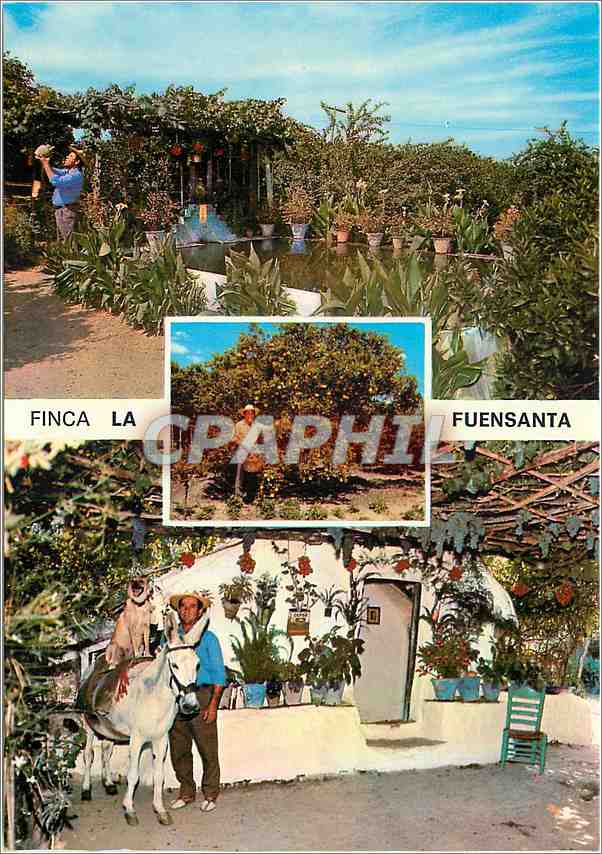 CPM Coin Costa del Sol Finca La Fuensanta 