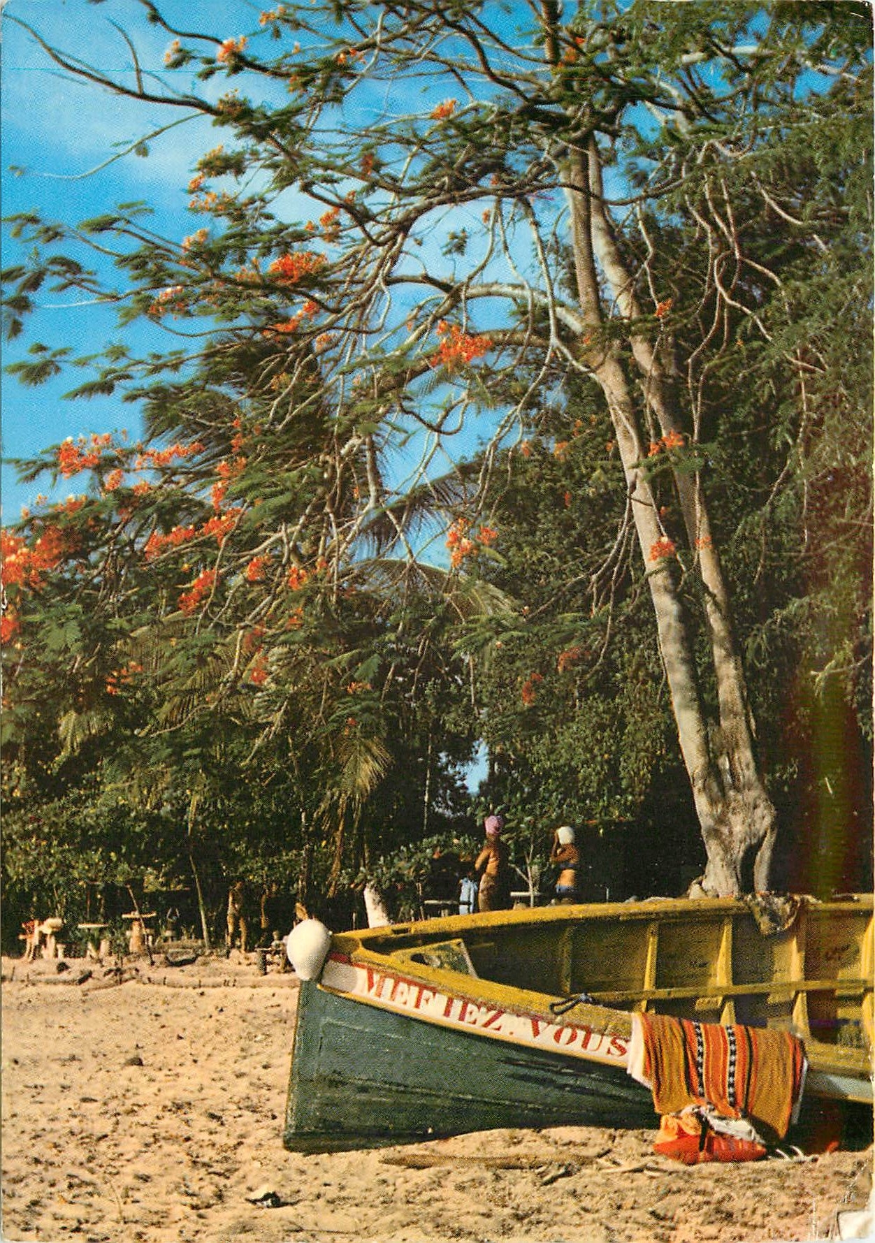 CPM Antilles Francaises French West Indies Gommier 