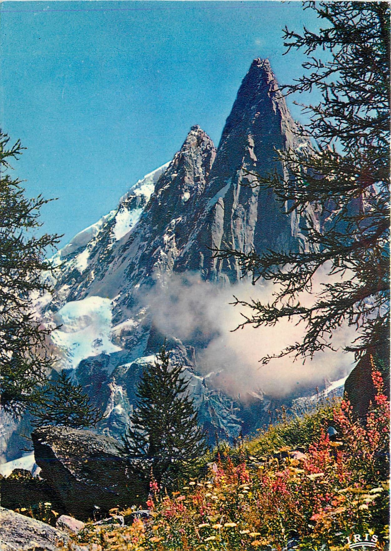 CPM Chamonix Mont Blanc Les Drus et l'aiguille Verte depuis le Montenvers 