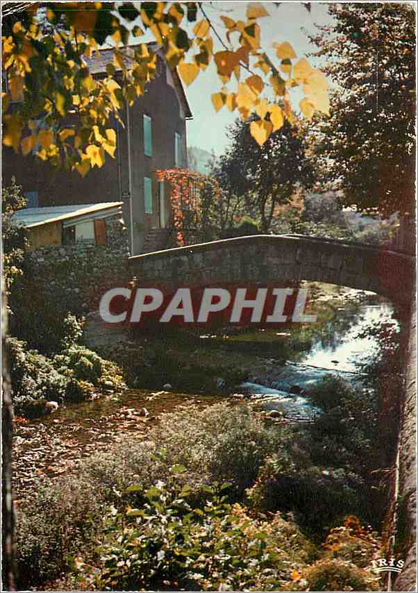 CPM En Lozere Entre l'Aigoual et les Gorges du Tarn 