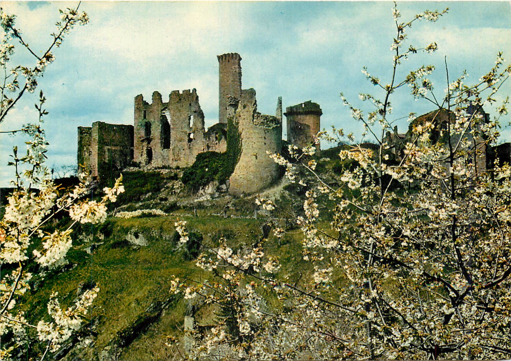 CPM Ardeche Touristique Le chateau de Boulogne 