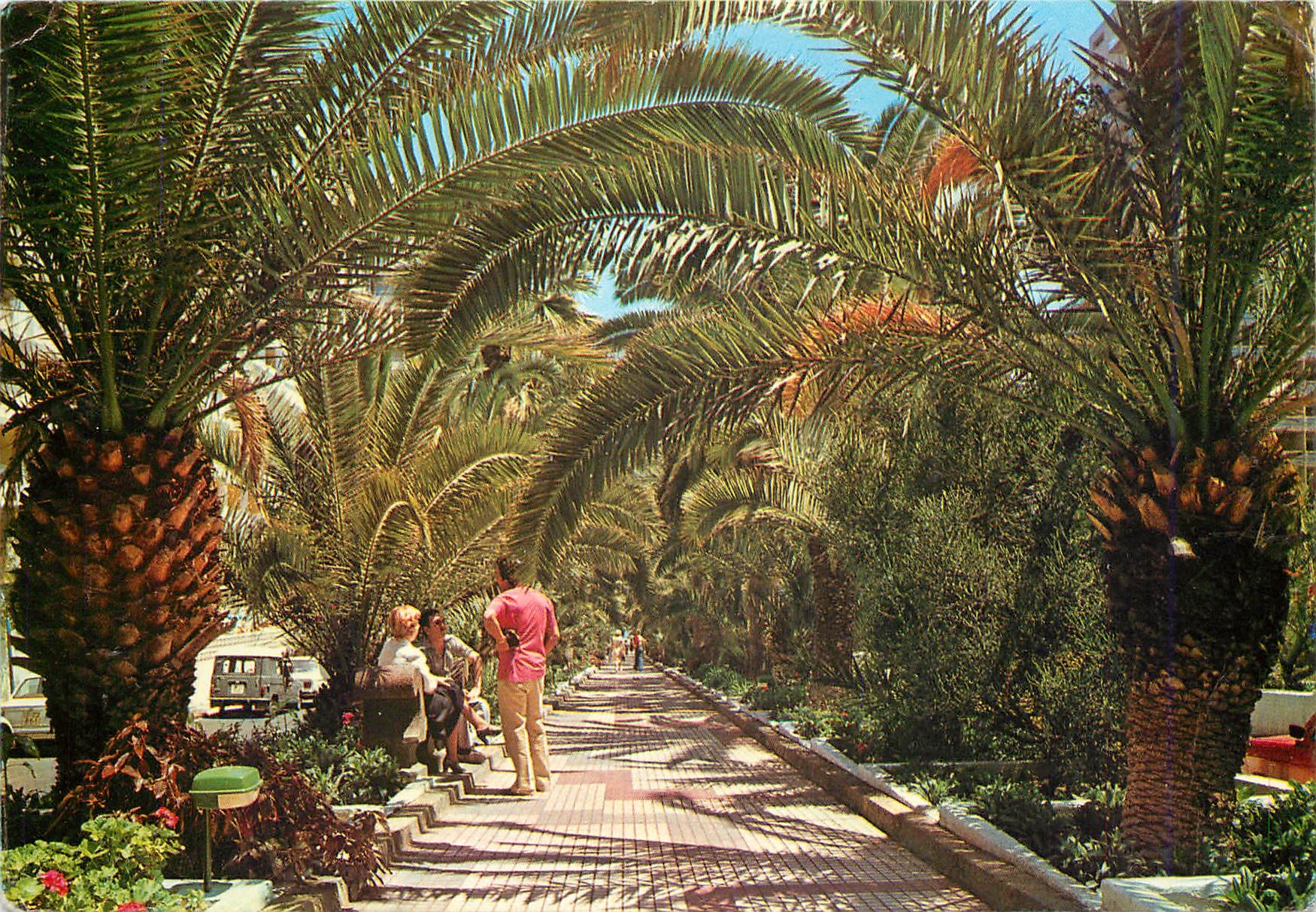 CPM Puerto de la Cruz Tenerife Paseo de las palmeras 