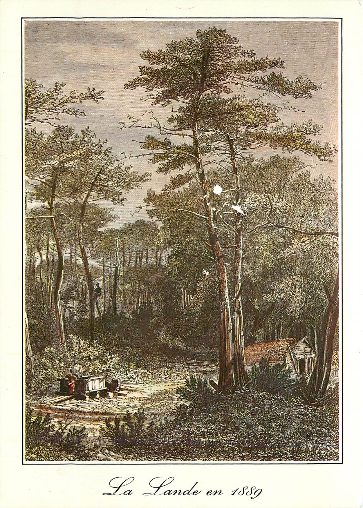 CPM La Lande Vieilles Gravures Landaises de 1889 
