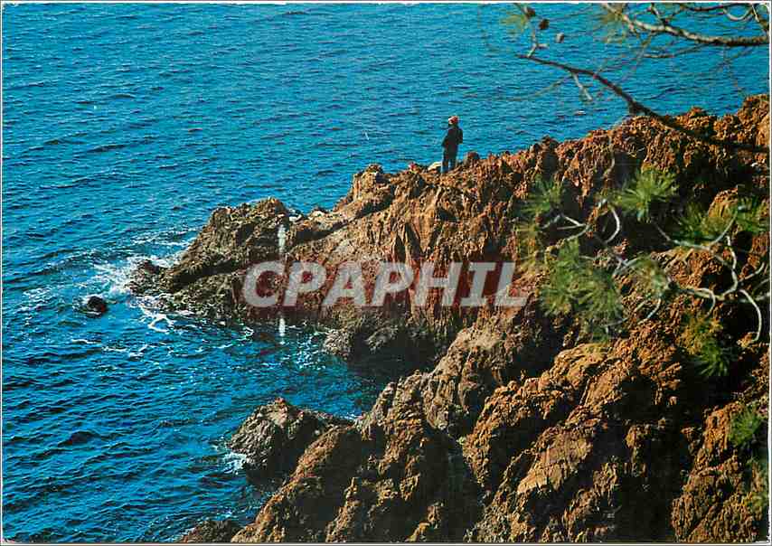CPM Cote d'Azur Les rochers rouges 