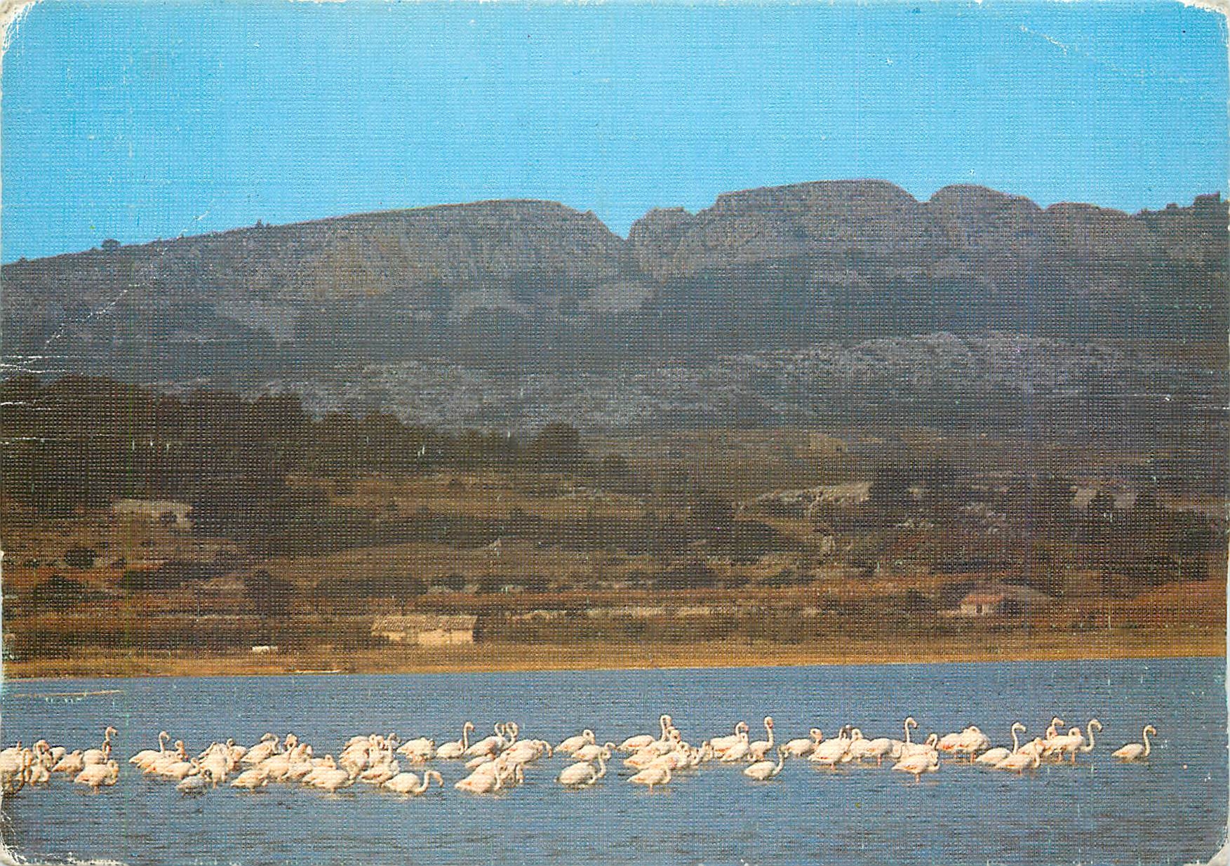 CPM Lumiere et Couleurs de l'Agde Le massif de la Clupe 