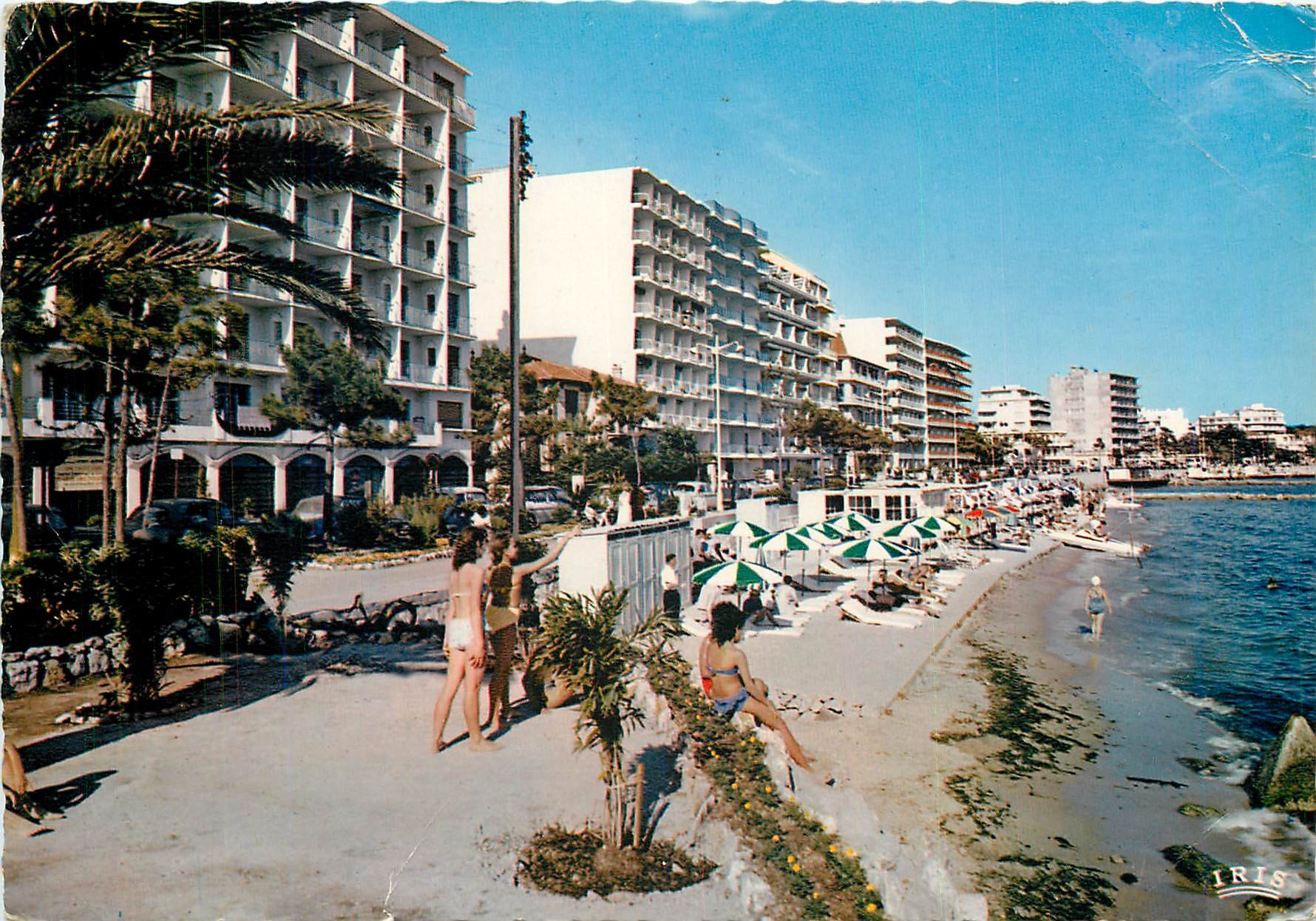 CPM Juan les Pins AM La nouvelle promenade du bord de mer 