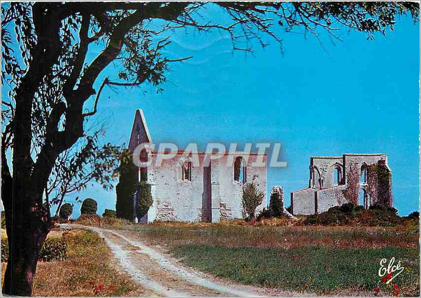 CPM Ile de Re Char Marit Ruines de l'ancienne Abbaye 