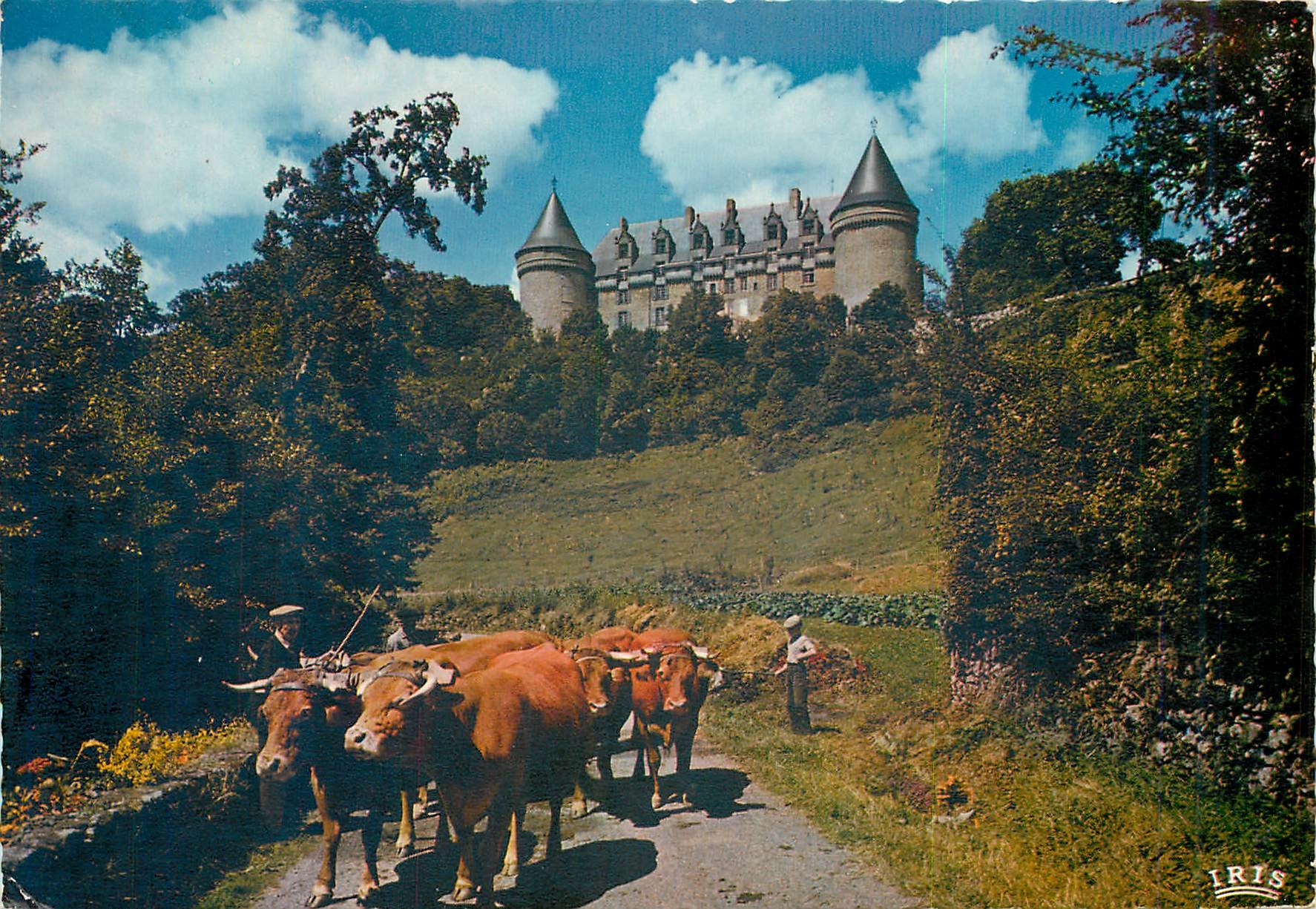 CPM La Haute Vienne Pittoresque Le Chateau de Rochechouart Bœufs Attelage
