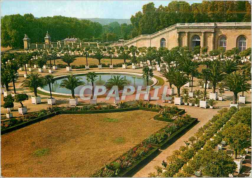 CPM Le Chateau de Versailles Le Parterre de la Grande Orangerie et le Bassin 