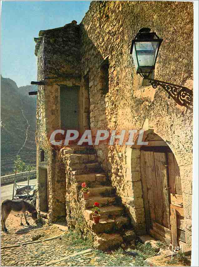 CPM Sainte Agnes Alpes Maritimes Vieille rue Environs de Menton 