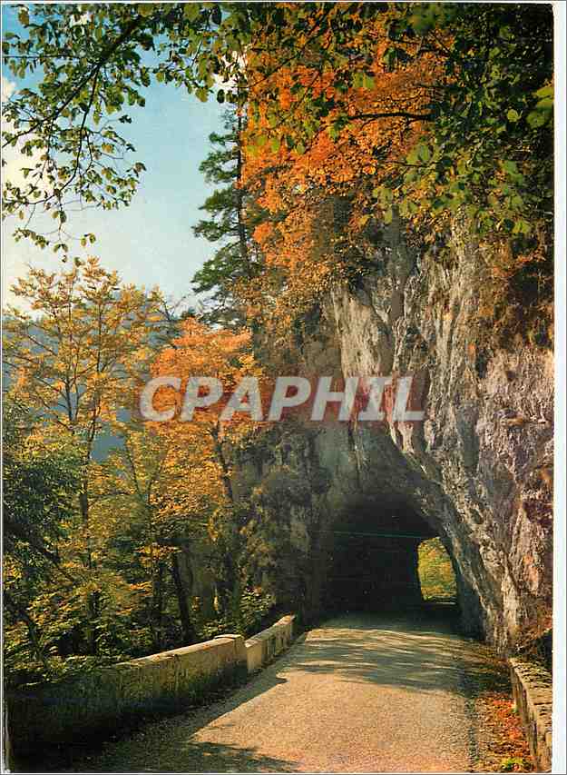 Route du Désert — Les Alpes touristiques EN CHARTREUSE — Éditions Naturelles