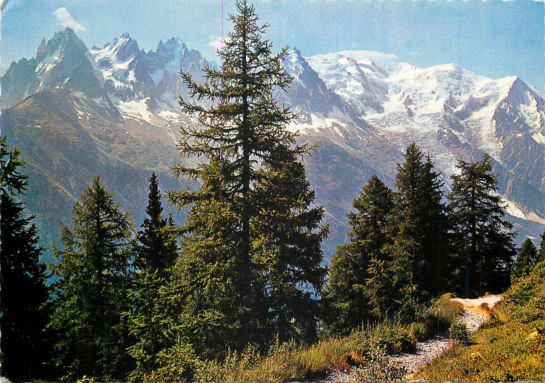 CPM Chamonix Mont Blanc Hte Savoie Depuis la Flegere panorama sur le massif du Mont Blanc 