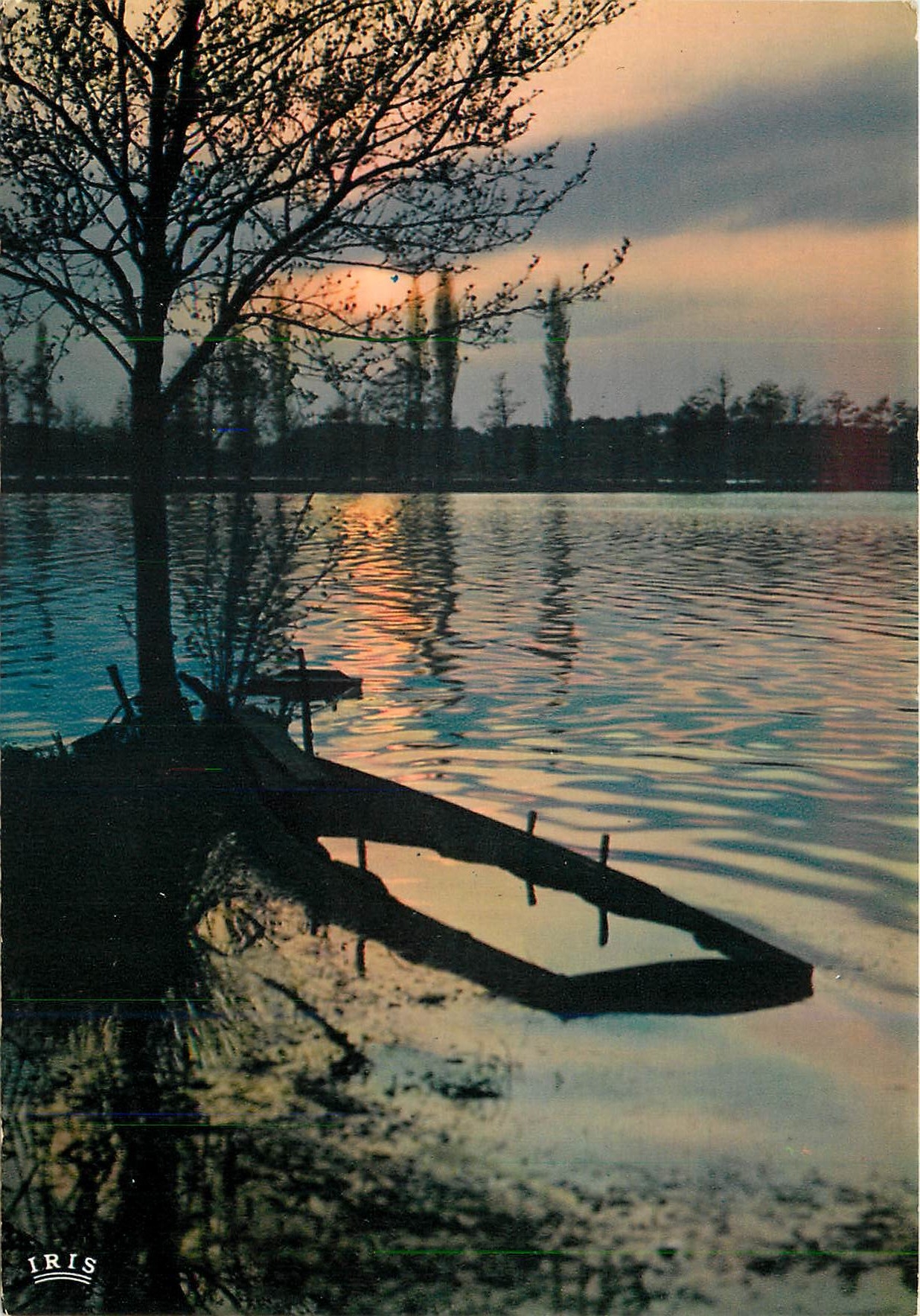 CPM Au Pays Landais J'aime un grand lac d'argent profond et clair miroir ou se regardent les nuees 