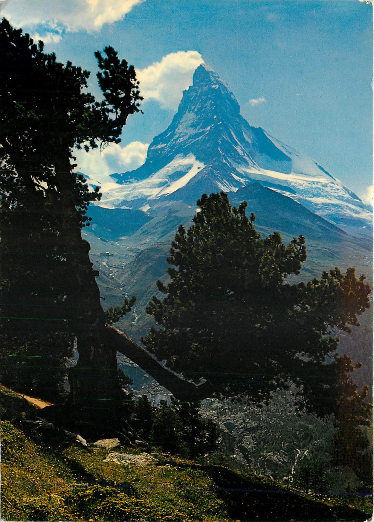 CPM Riffelalp bei Zermatt Bergarve Arole 