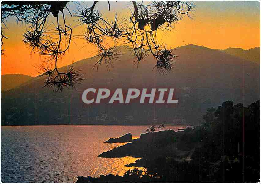 CPM Cote d'Azur Coucher de soleil 