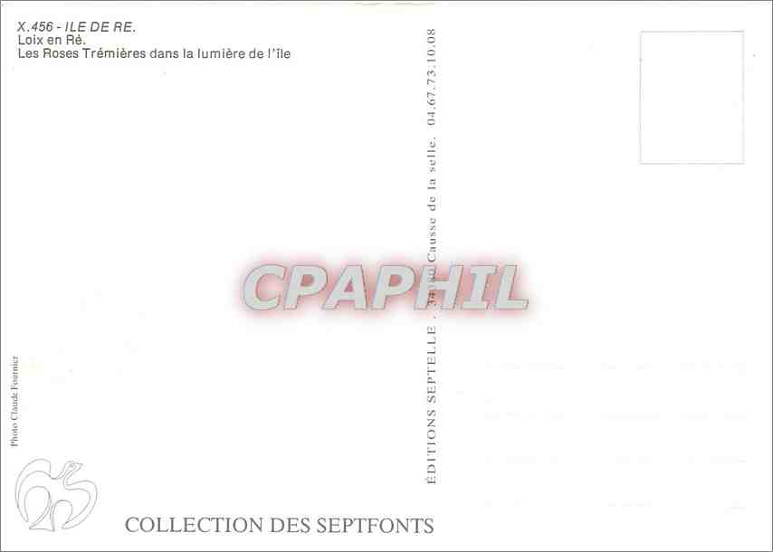 CPM Ile de Re Loix en Re Les Roses Tremieres dans la lumiere de l'le  — Verso