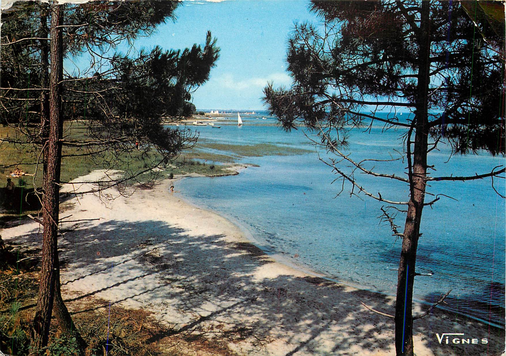 CPM Visages des Landes Douceur de nos Lacs 