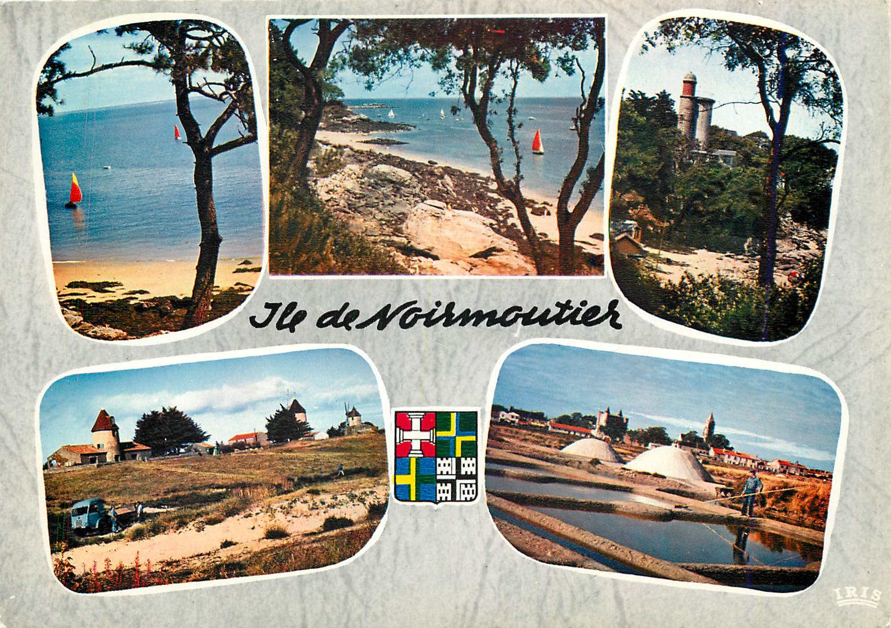 CPM Ile de Noirmoutier Vendee Le Bois de la Chaize 