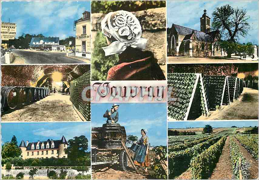 CPM Les Merveilles du Val de Loire Vouvray Indre et Loire 