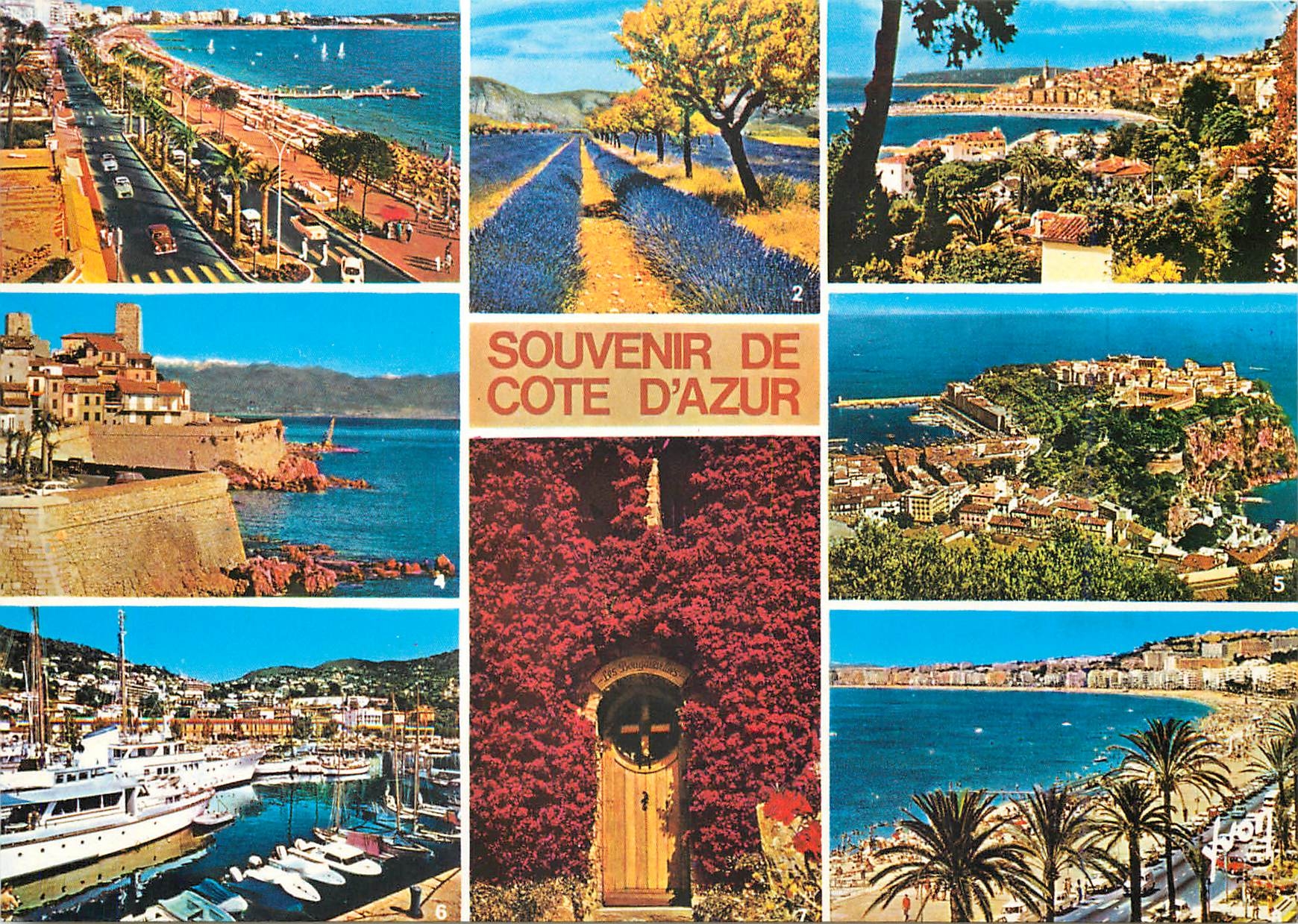 CPM Souvenir de la Cote d'Azur Cannes Champs de Lavande Menton Antibes 