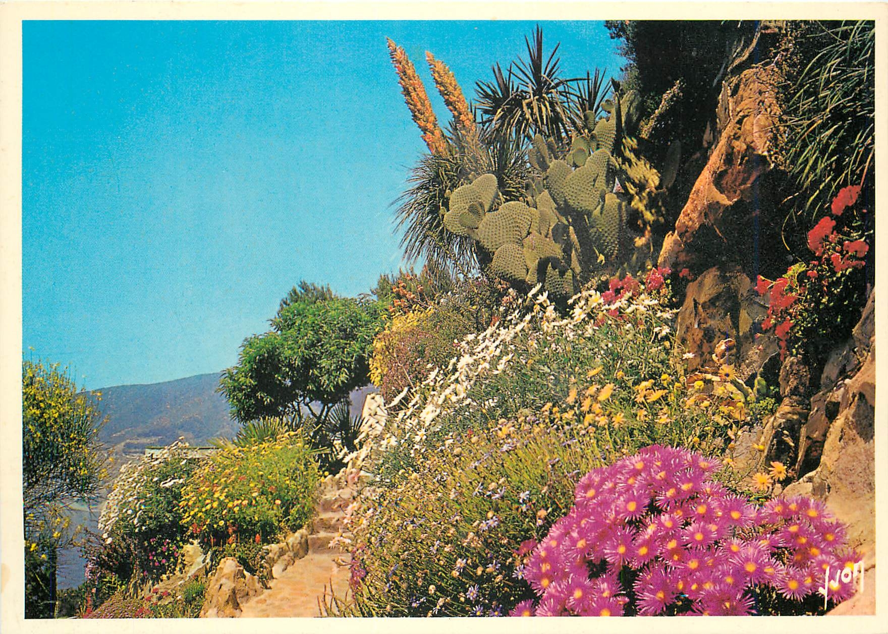 CPM La Cote d'Azur miracle de la nature Jardin Fleuri de la Cote d'Azur 
